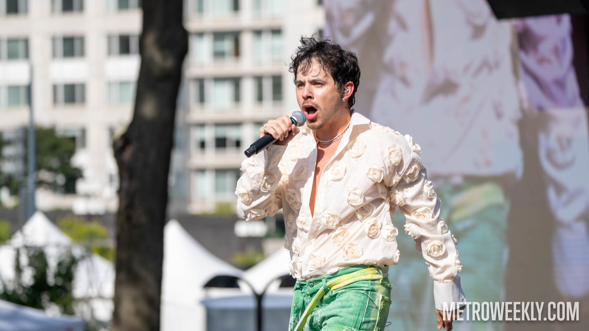 #10 of 67 : 2025-06-14_3005_177629.jpg