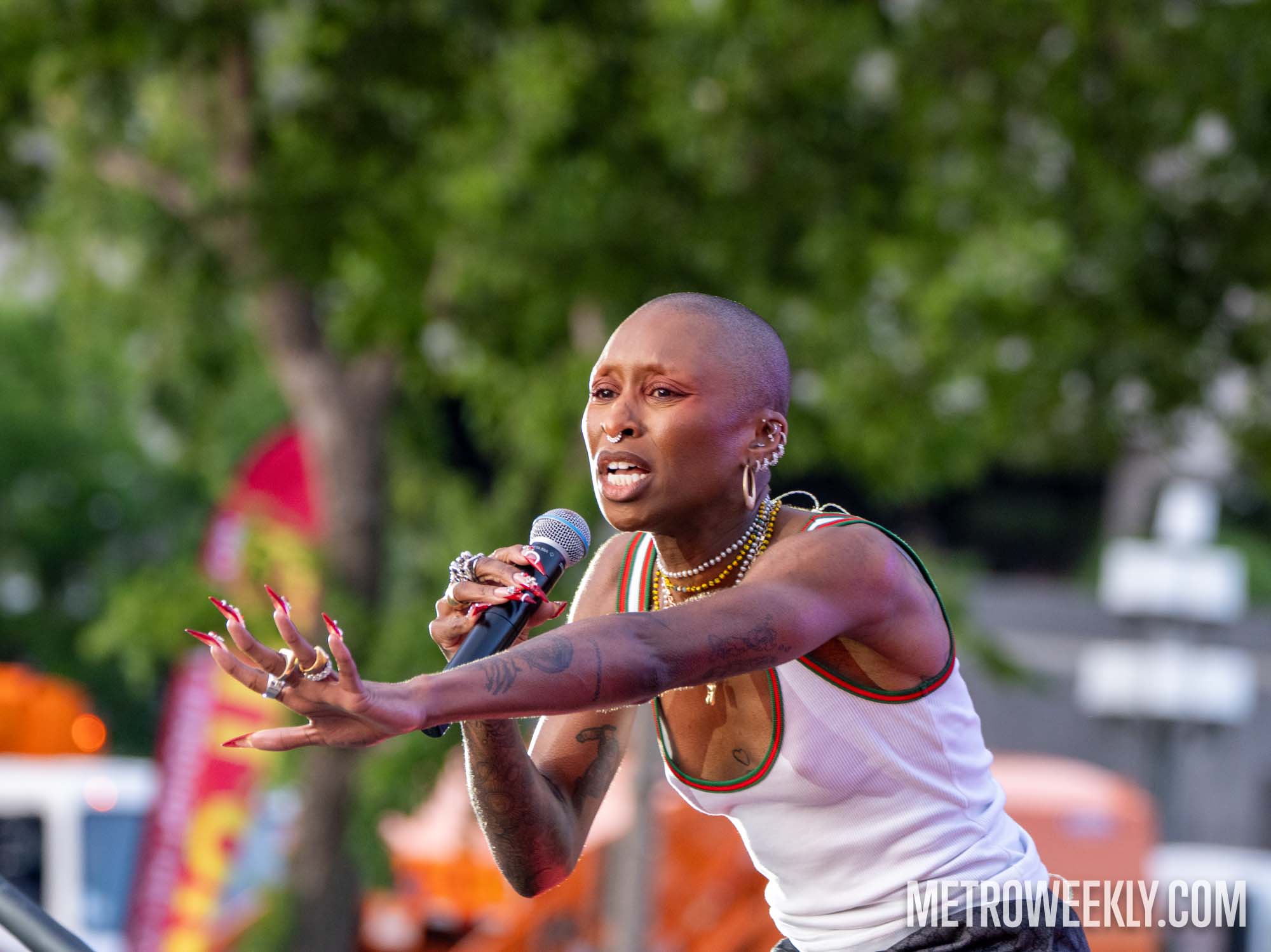 #31 of 67 : 2025-06-14_3005_177650.jpg