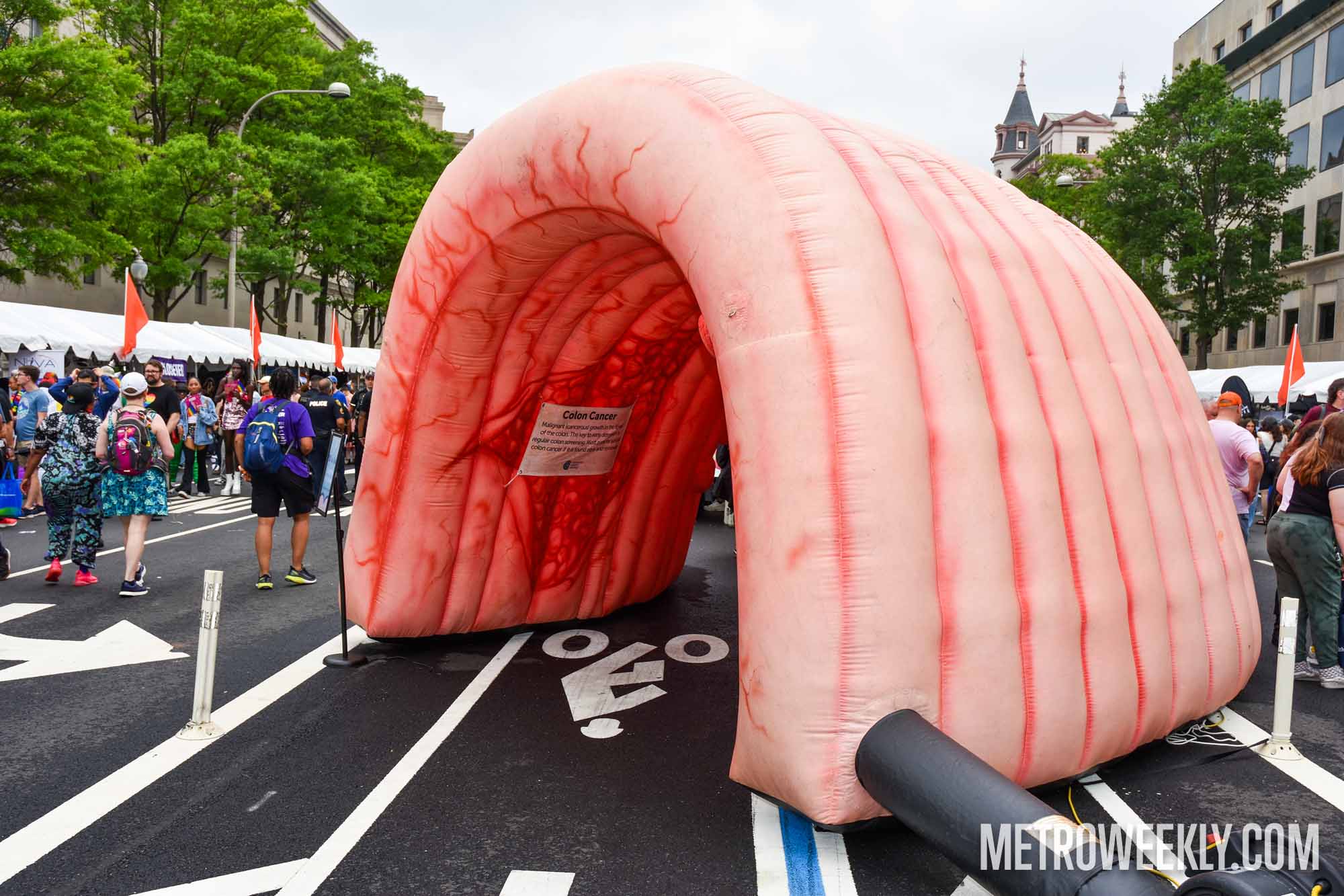 #16 of 119 : 2025-06-14_3007_177931.jpg