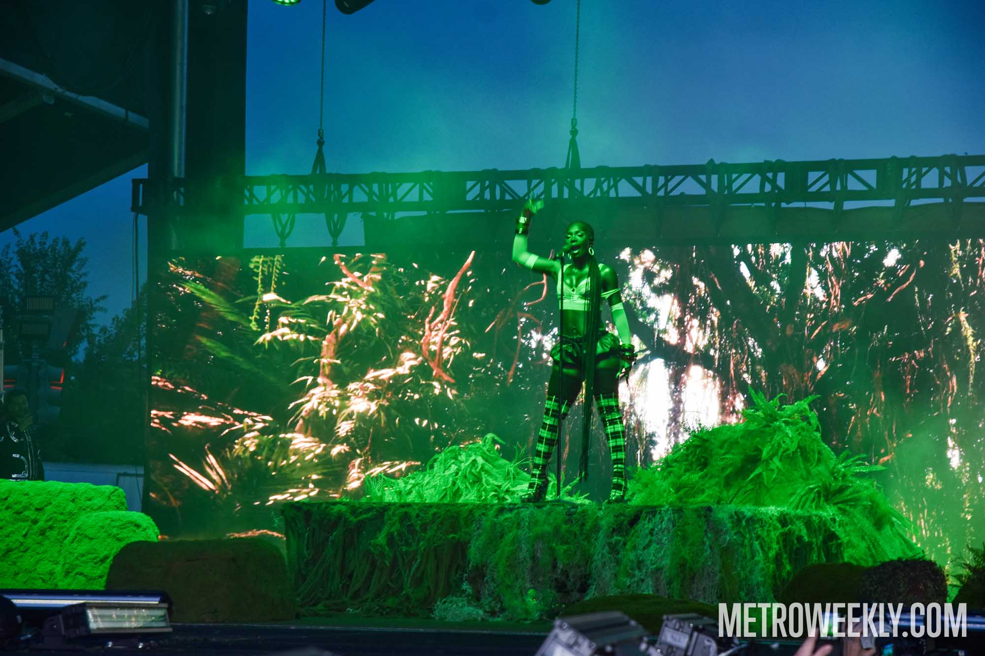 #117 of 119 : 2025-06-14_3007_178032.jpg