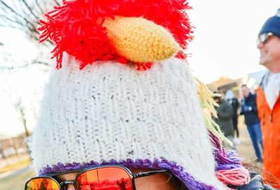 Click to see these Pics